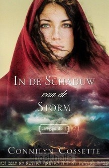 In de schaduw van de storm