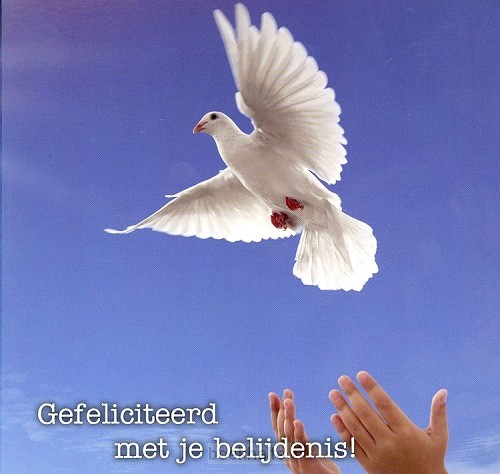 Kaart gefeliciteerd met belijdenis duif
