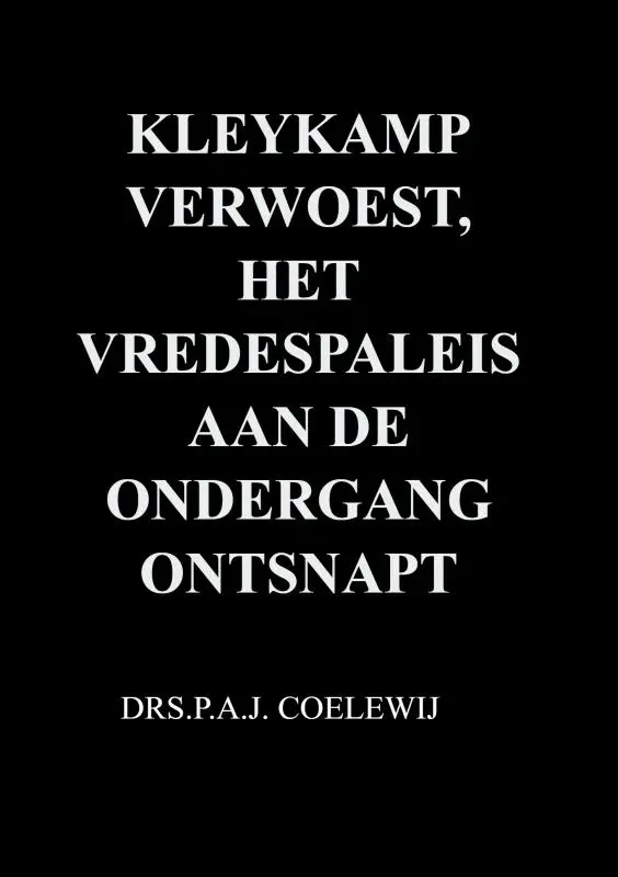 Kleykamp verwoest, het Vredespaleis aan de ondergang ontsnapt