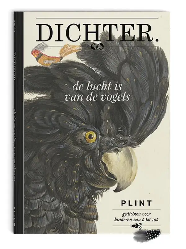 De lucht is van de vogels set van 5