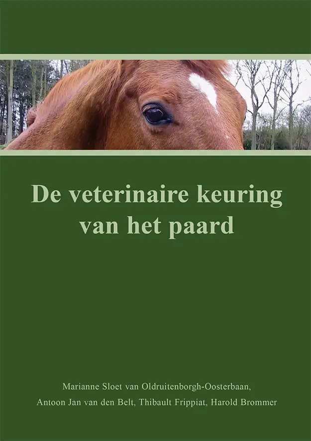 De veterinaire keuring van het paard