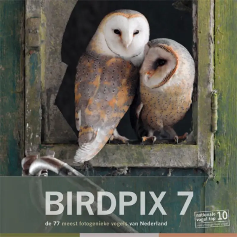 Birdpix / 7