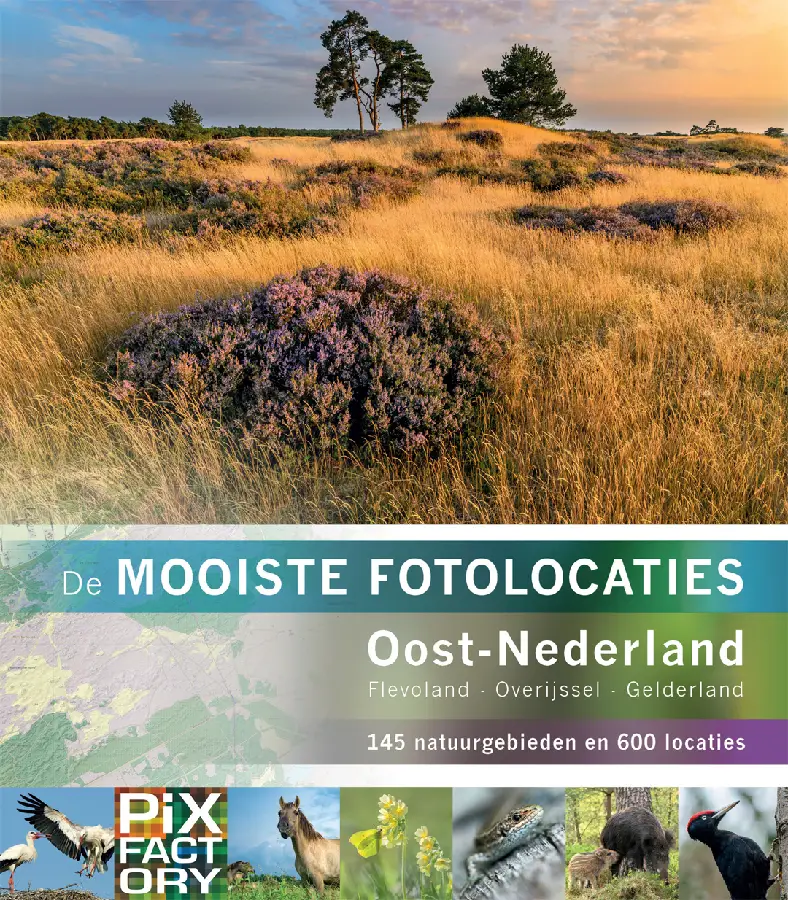 Oost-Nederland