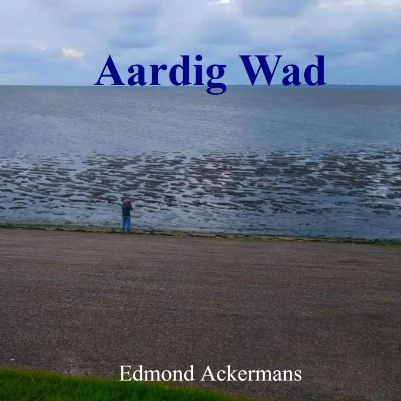 Aardig Wad