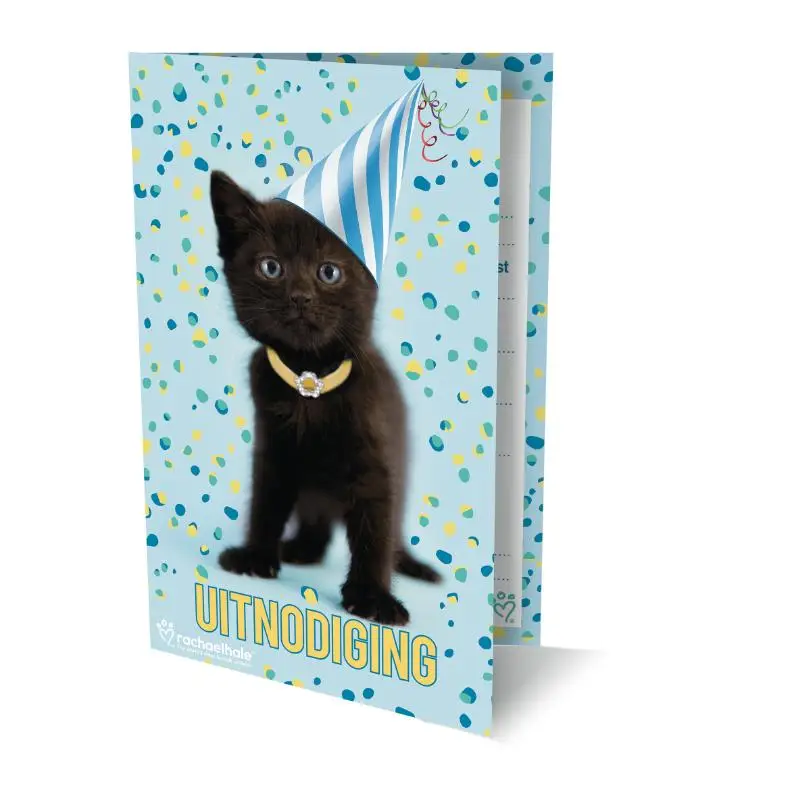 RACHEL HALE KAT UITNODIGING PK938 - SET VAN 6