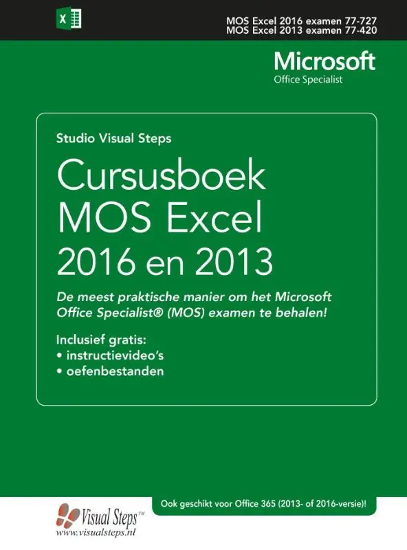 Cursusboek MOS Excel 2016 en 2013 / Basis