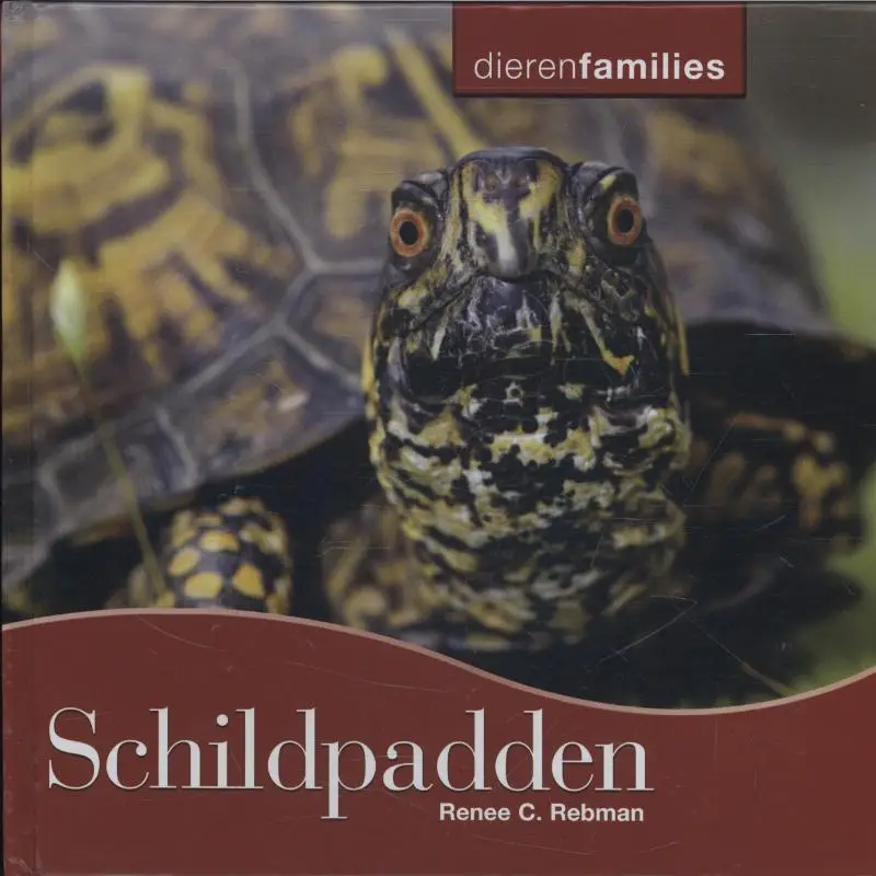 Schildpadden
