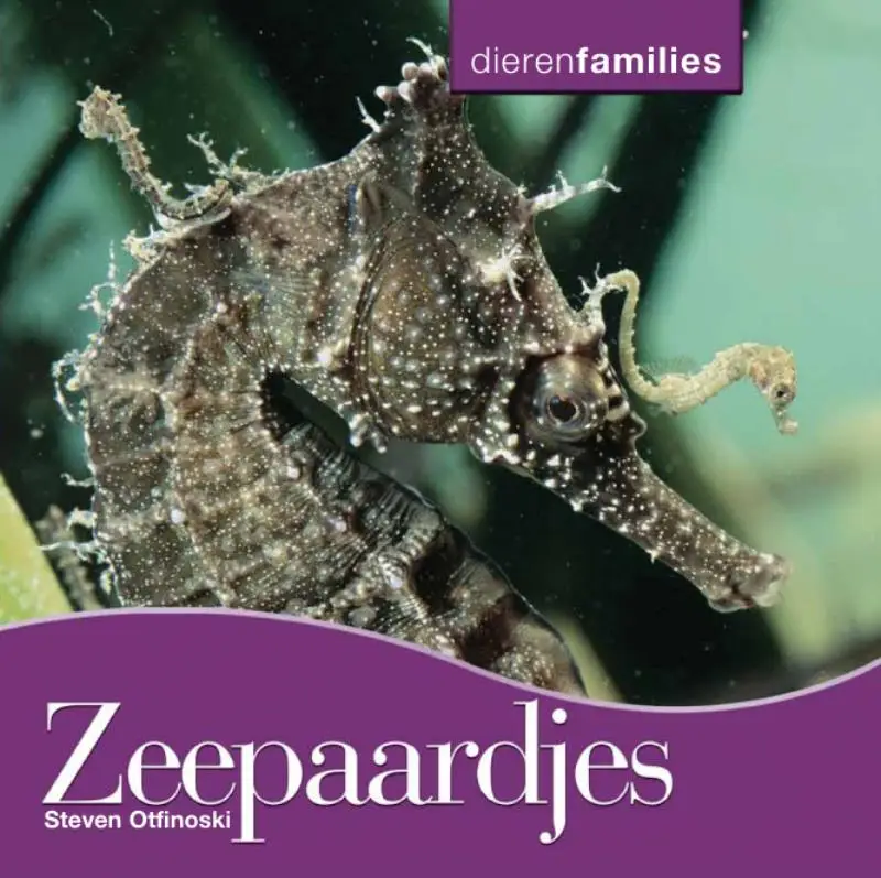 Zeepaardjes