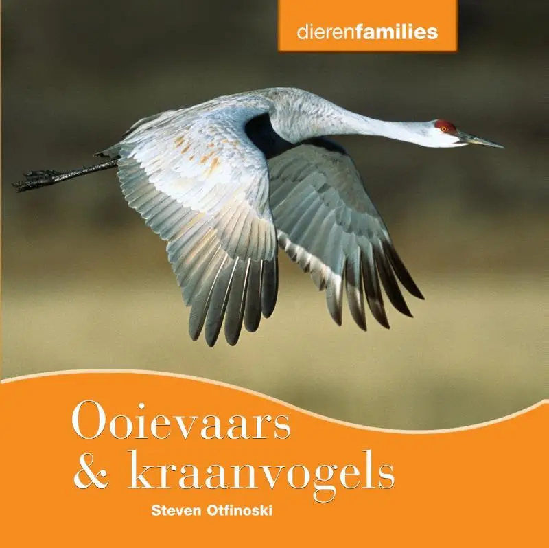 Ooievaars & kraanvogels