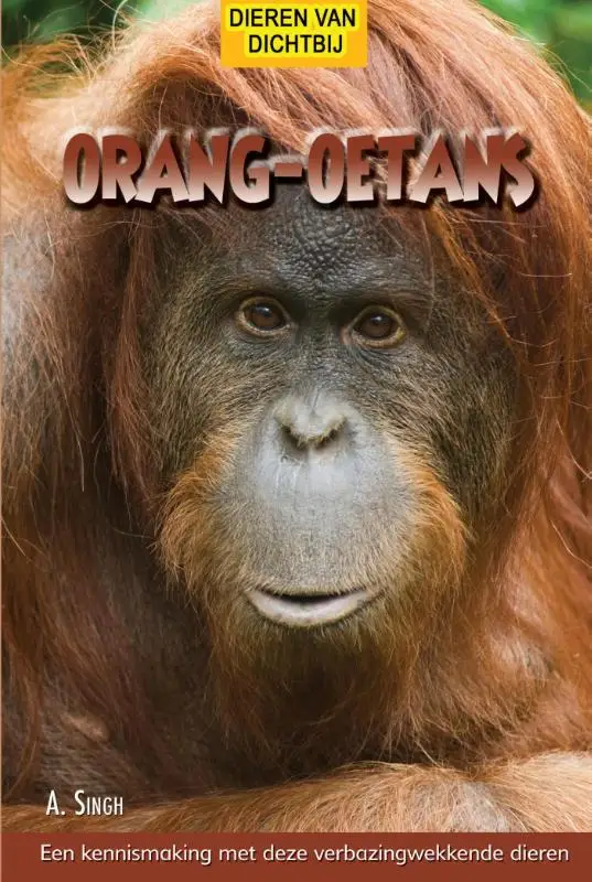Orang oetans