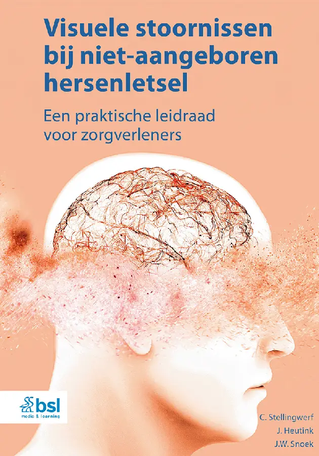 Visuele stoornissen bij niet-aangeboren hersenletsel