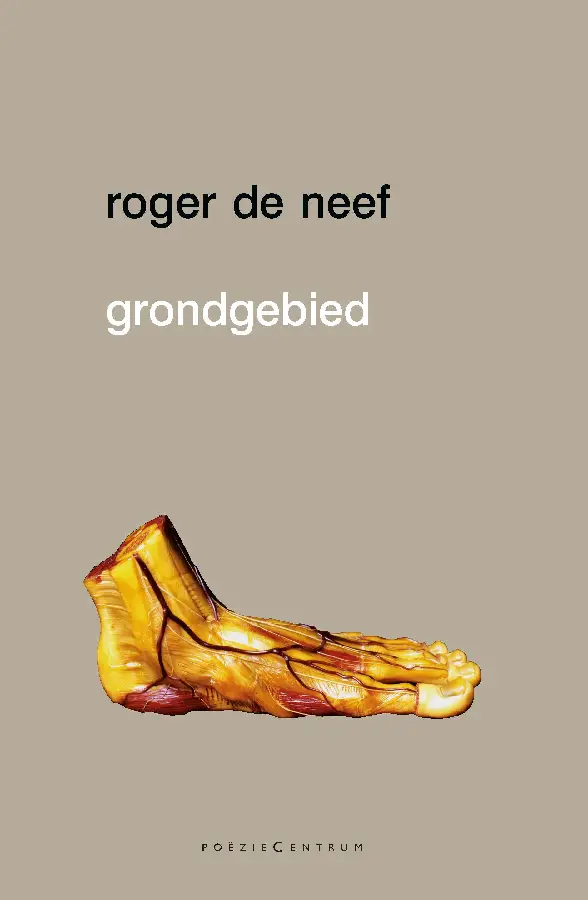 Grondgebied