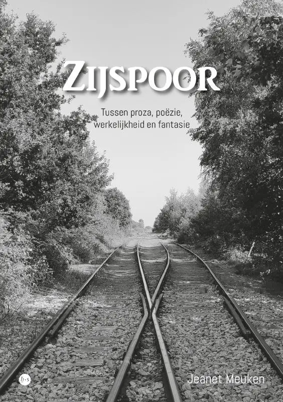 Zijspoor
