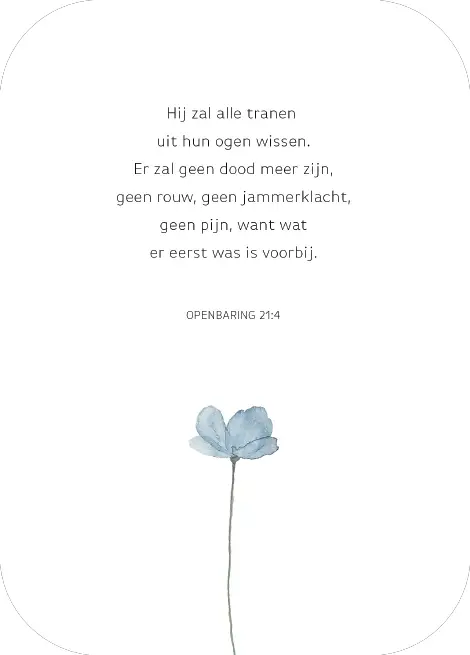 Deelneming