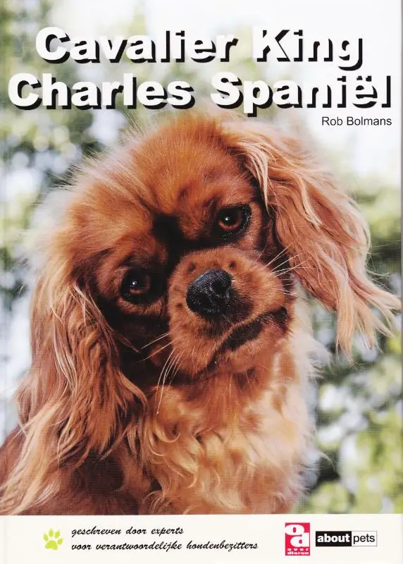 Cavalier King Charles spaniël