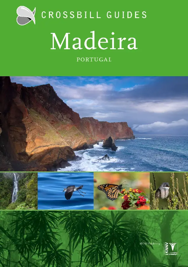 Crossbill Nature Guide Madeira
