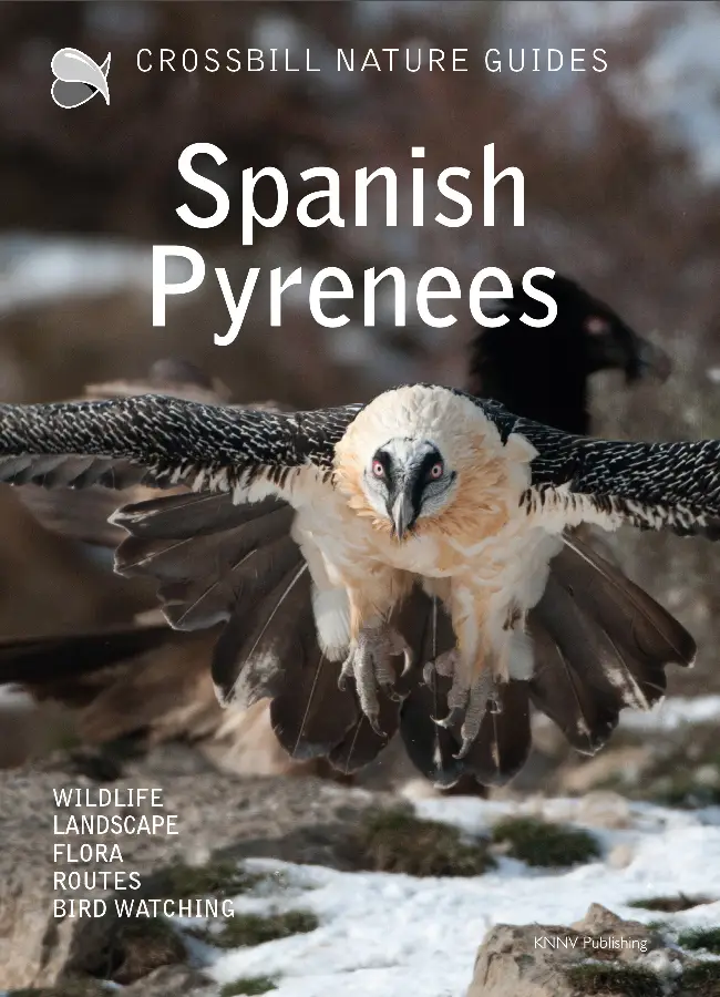 Crossbill Nature Guide Spanish Pyrenees