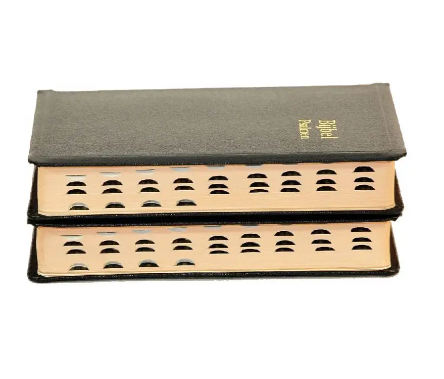 Dameszakbijbel D33 RITMISCH kunstleer