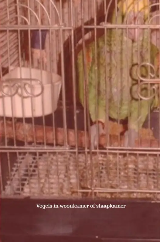 Kooivogels veroorzaken longkanker bij de mens.