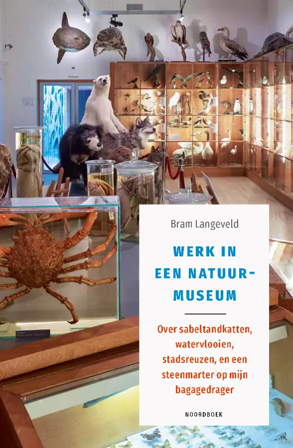 Werk in een natuurmuseum