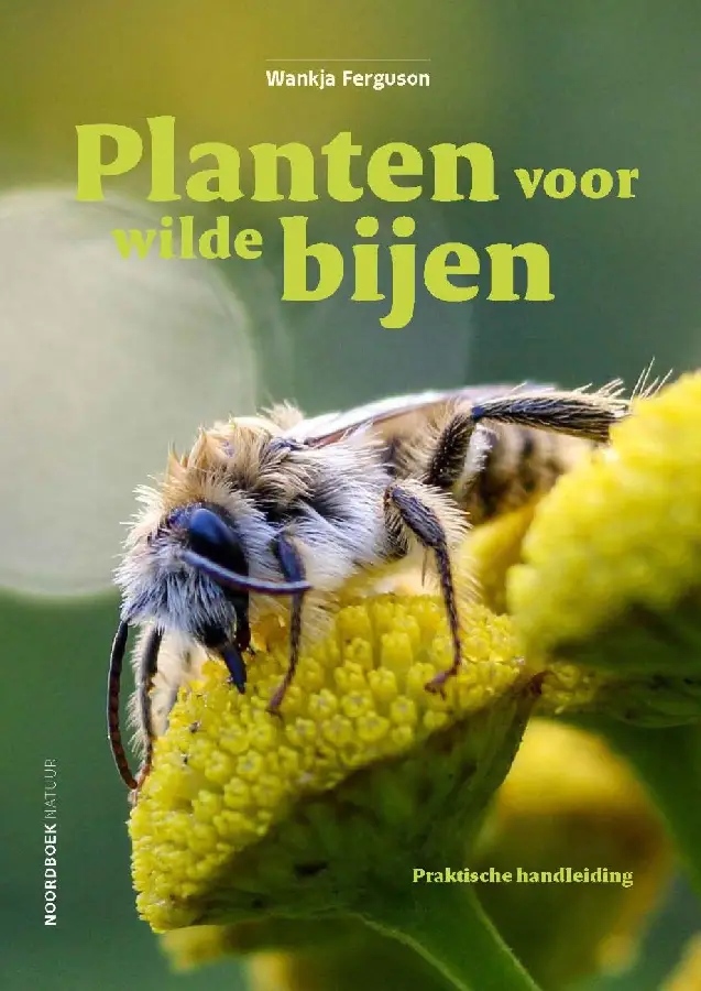 Planten voor wilde bijen
