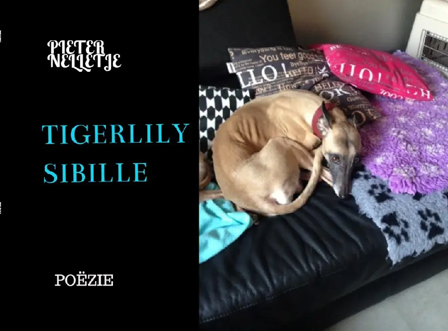 TIGERLILY SIBILLE