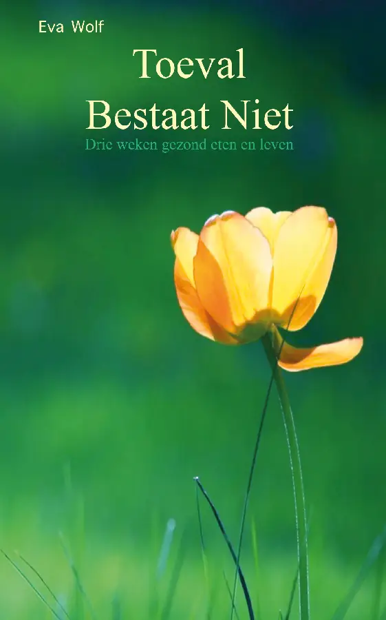 Toeval bestaat niet