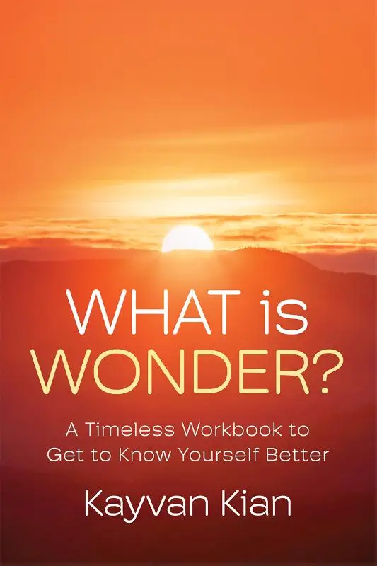 What Is Wonder?