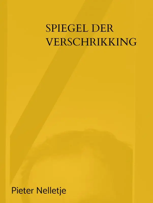 SPIEGEL DER VERSCHRIKKING