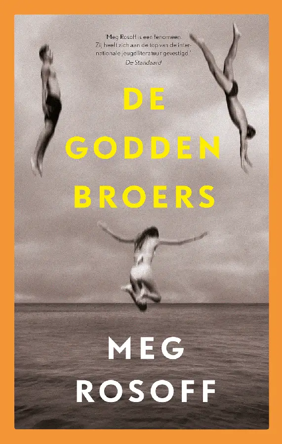 De Godden broers