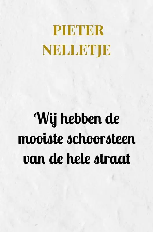 Wij hebben de mooiste schoorsteen van de hele straat