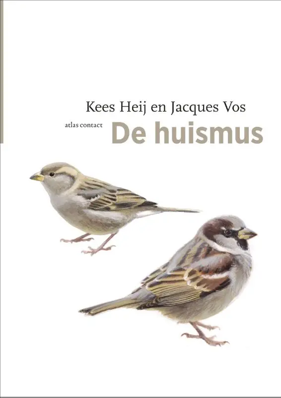 De huismus