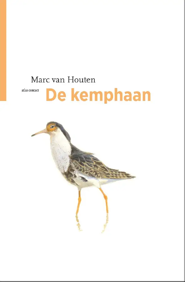 De kemphaan