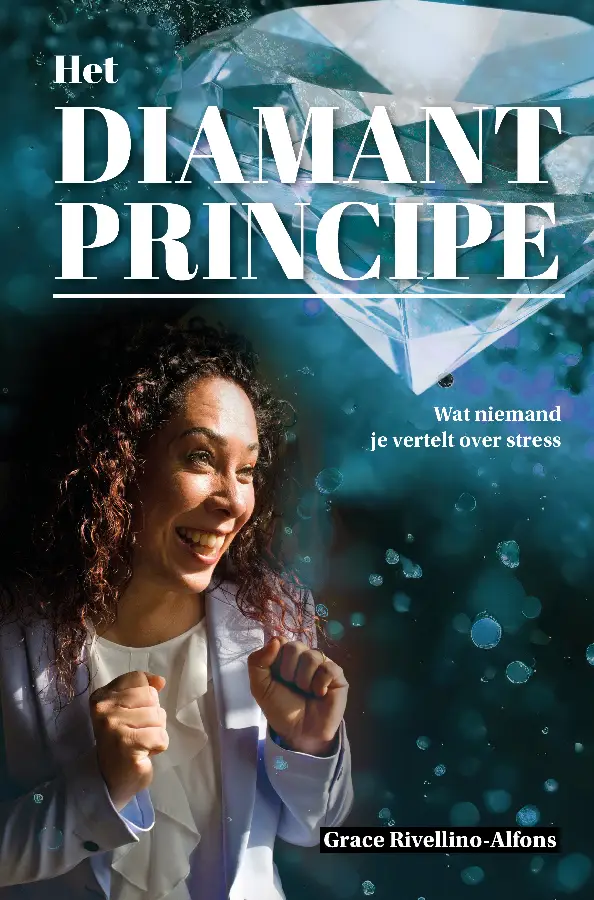 Het Diamantprincipe