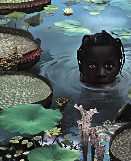 Ruud van Empel - 25 Years of Photo Works 1995-2020