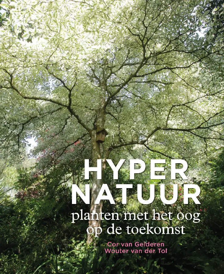 Hypernatuur