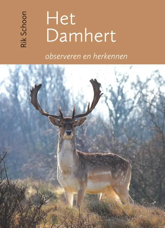 Het damhert