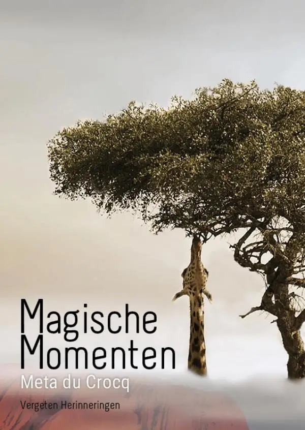 Magische momenten